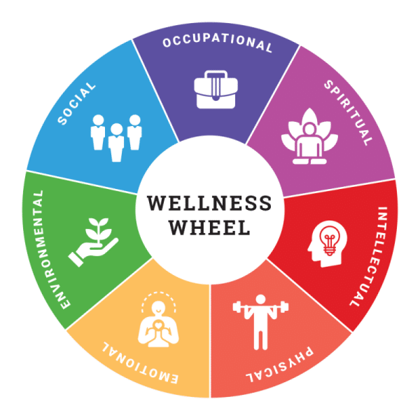 What is Wellness & Theory?